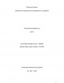 ¡Descubre la importancia de la creatividad en un ingeniero!