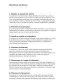 Beneficios del Cacao