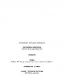 Lo que implica accidentarse en mexico