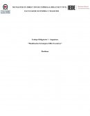 Trabajo Obligatorio 1 - Asignatura “Planificación Estratégica (MBA Executive)”