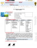 FORMULAMOS EL DESAFÍO Y RECOGEMOS INFORMACION