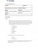 Ejercicio 2. Análisis de diseño de unas páginas web