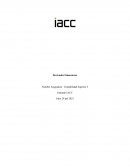 TAREA 8 Contabilidad Superior 1 IACC