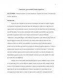 Consciencia y prevención de lesiones deportivas