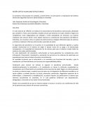 RESEÑA CRÍTICA PLURALISMO ESTRUCTURADO