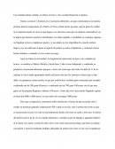 Una realidad jamás contada, un futuro incierto y una sociedad hipocrita e ingenua