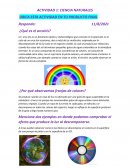 Actividad Ciencia naturales ¿Qué es el arcoíris?