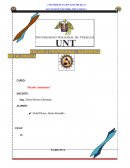 Impacto Ambiental Causas y Efectos