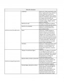 CLASIFICACIÓN DE LOS DERECHOS HUMANOS