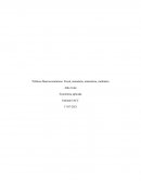 Políticas Macroeconómicas: Fiscal, monetaria, arancelaria, cambiaria