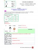 Explicamos que las características hereditarias dependen de la información genética