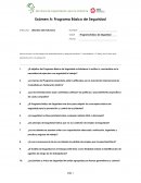 Programa Básico de Seguridad