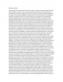 Ensayo Libro Estado de Miedo