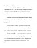 Balanced Scorecard - Eficiencia Operacional