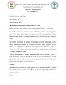 Diagnóstico microbiológico del Helicobacter pylori