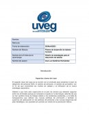 ESTRATEGIAS DEL TALENTO