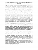 La Política Internacional en materia de Seguridad Vial y Movilidad Segura y Sostenible