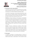 Reporte Tipos de PCR