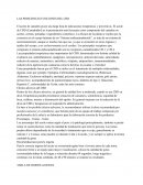 LAS PRINCIPALES FUNCIONES DEL CBD