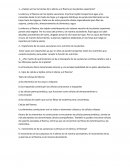 ¿Cuáles son las funciones de la xilema y el floema en las plantas superiores?