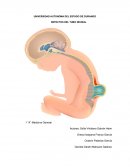 DEFECTOS DEL TUBO NEURAL