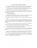 Ensayo sobre el amor. Un análisis breve y realista