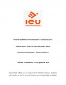 Sistemas de medición del desempeño y compensaciones