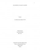 Práctica en Responsabilidad Social