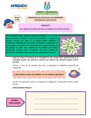 El plan de acción Ciencia y tecnología