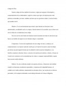 Codigo de etica. Principios Éticos Empresariales