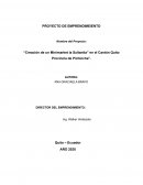 Creación de un minimarket La Sultanita en el cantón Quito, provincia de Pichincha