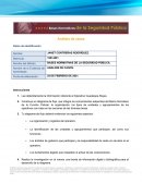 BASES NORMATIVAS DE LA SEGURIDAD PÚBLICA