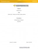 Informe final – Estudio de caso desde el enfoque sistémico