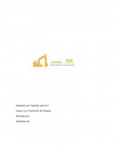 MEDIDAS MITIGACION INUNDACIONES HOLDING TSR