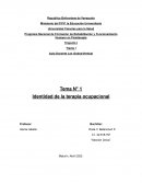 Identidad de la terapia ocupacional