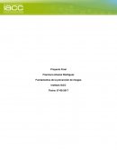 Fundamentos de la prevención de riesgos