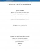 ANÁLISIS DE CASO SOBRE LA ESTRUCTURA ORGANIZACIONAL