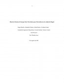 Diseño de Sistema de Energía Solar Fotovoltaica para Electrolinera en la ciudad de Bogotá