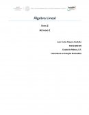 Álgebra Lineal. ¿Qué es una matriz?