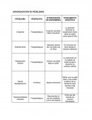 Jerarquización de problemas de una embarazada