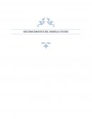 RECONOCIMIENTO DEL MODELO CVUDES