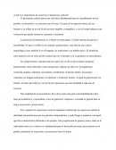 ¿Cuál es la importancia de conservar el patrimonio cultural?