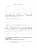 INFORME DE ANALISIS DE RIESGOS