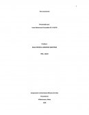 ANALISIS TEST VOCACIONAL