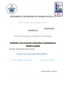 Los recursos naturales: ecosistemas y biodiversidad