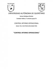 Control Interno Operacional. Página 1
