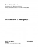 Desarrollo de la inteligencia