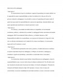 Ideas fuerza de la andragogía