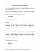 Administradores: Líderes estratégicos en la optimización de procesos y el logro de objetivos empresariales