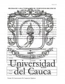 Informe PRUEBAS DE CARACTERIZACIÓN DE COMPUESTOS ORGÁNICOS